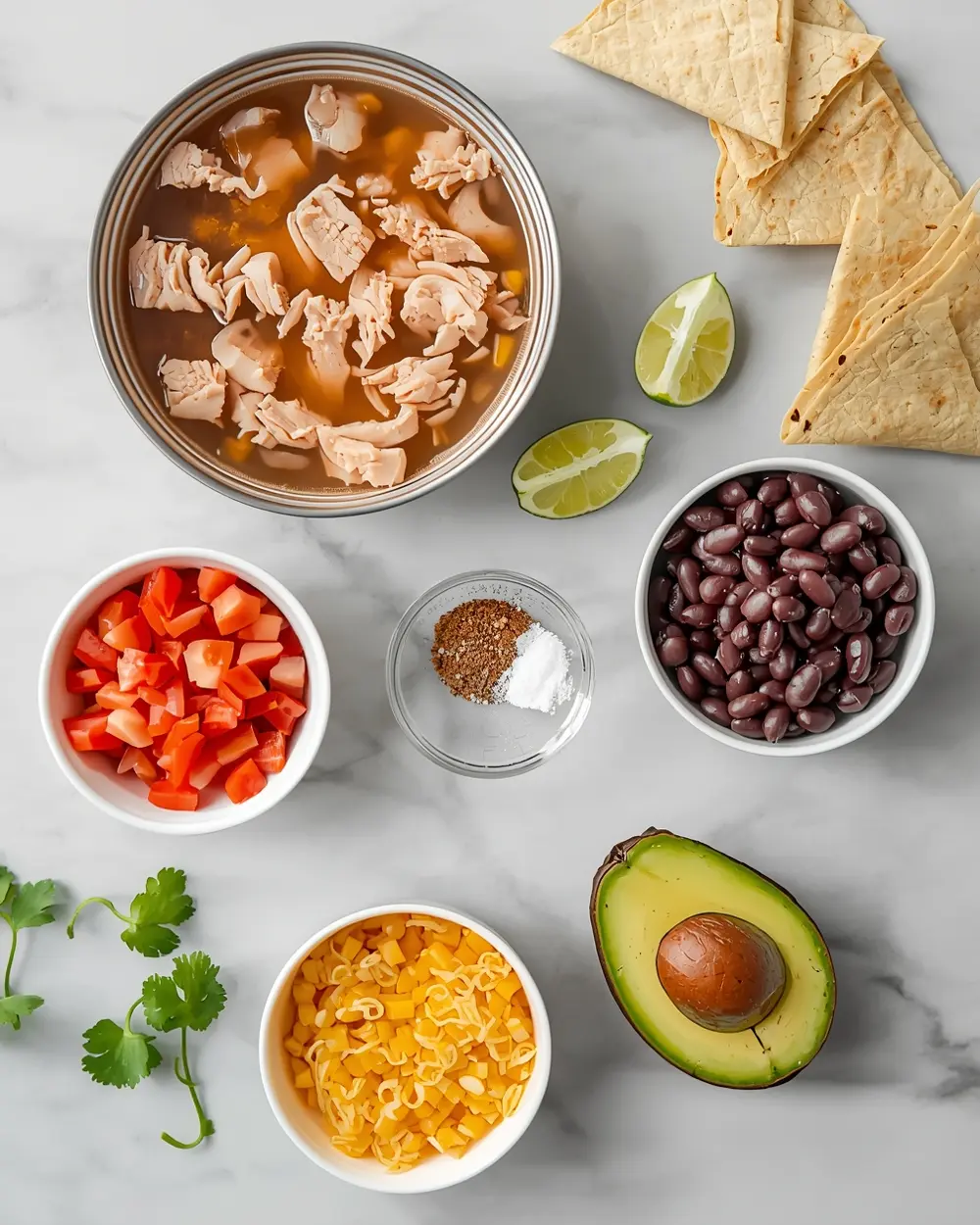 Ingredients for chicken tortilla soup