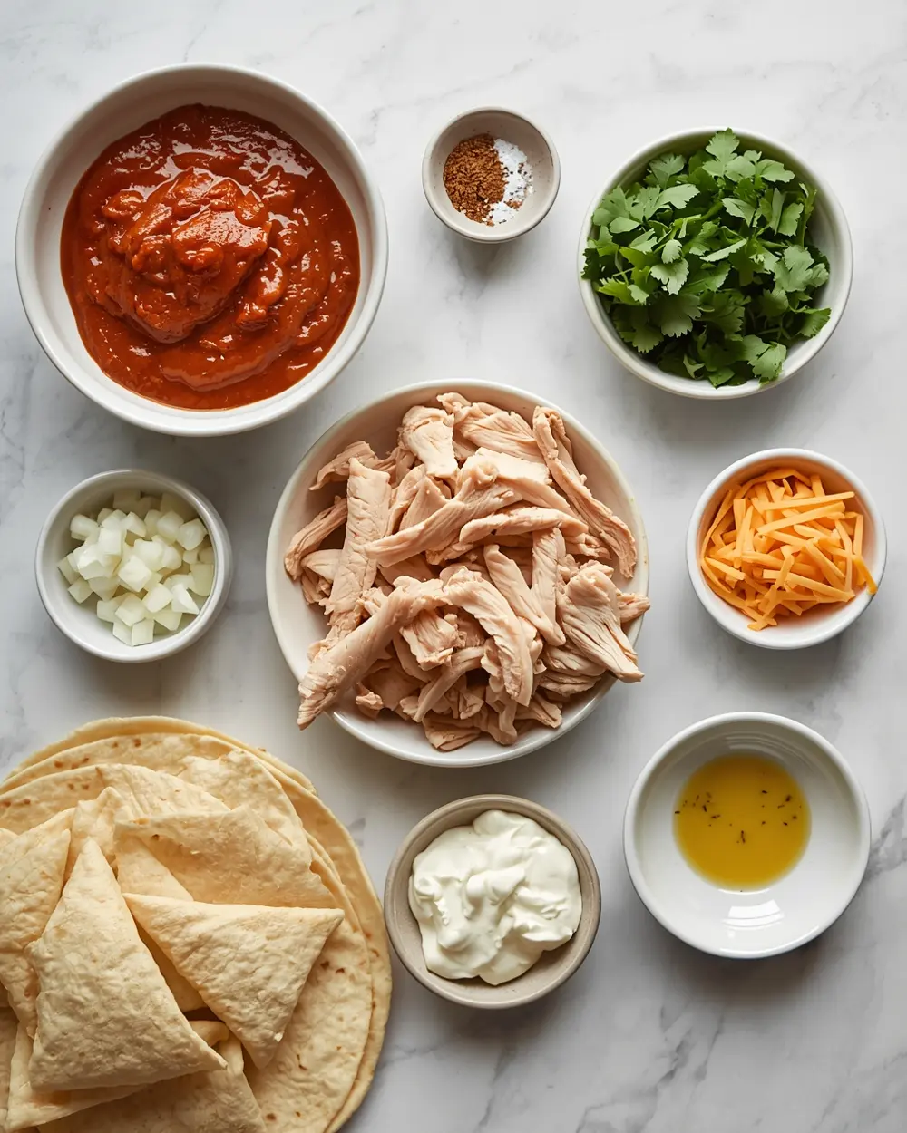 Ingredients for chicken enchiladas