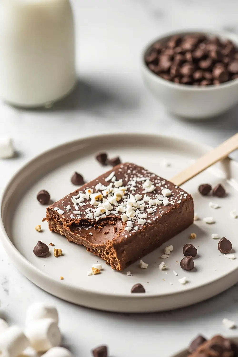 homemade chocolate fudge pops